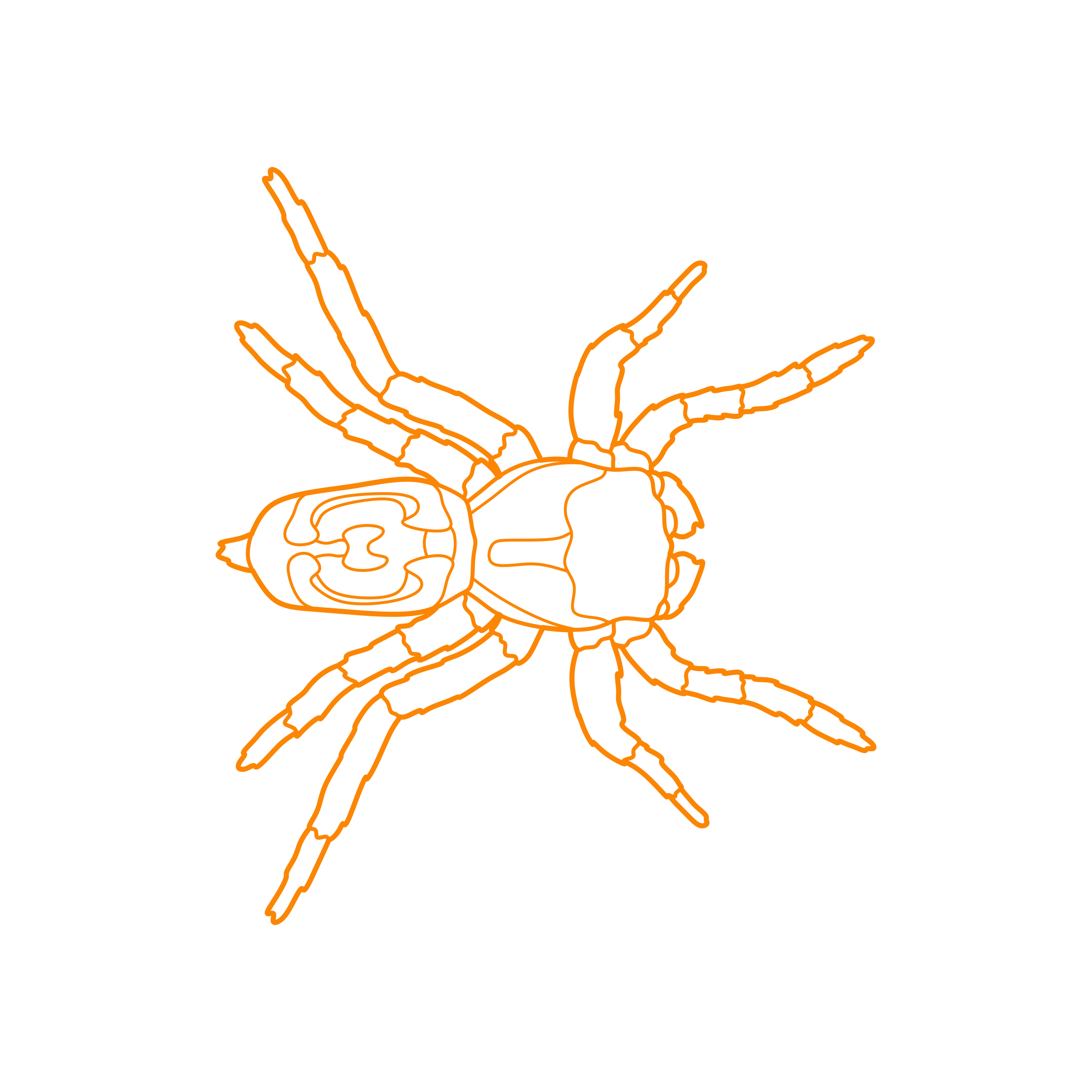 Animals Arachnids Peacock Spider Outline Svg File Free Vectors